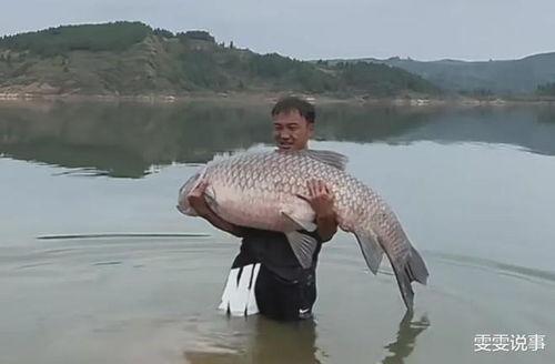 青鱼视频国产3